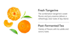 OSULLOC Jeju Samda Tangerine Tea, 1 Box 20ea from Korea by OSULLOC
