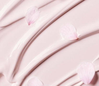 innisfree Jeju Cherry Blossom Glow Tone-up Cream 50ml from Korea by innisfree