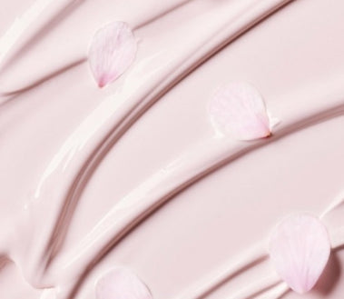 innisfree Jeju Cherry Blossom Glow Tone-up Cream 50ml from Korea